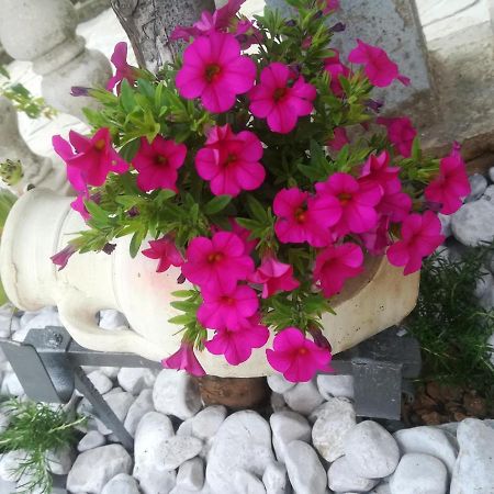 Apartman Pelcic,With Wifi And Free Parking Kostrena Exterior photo
