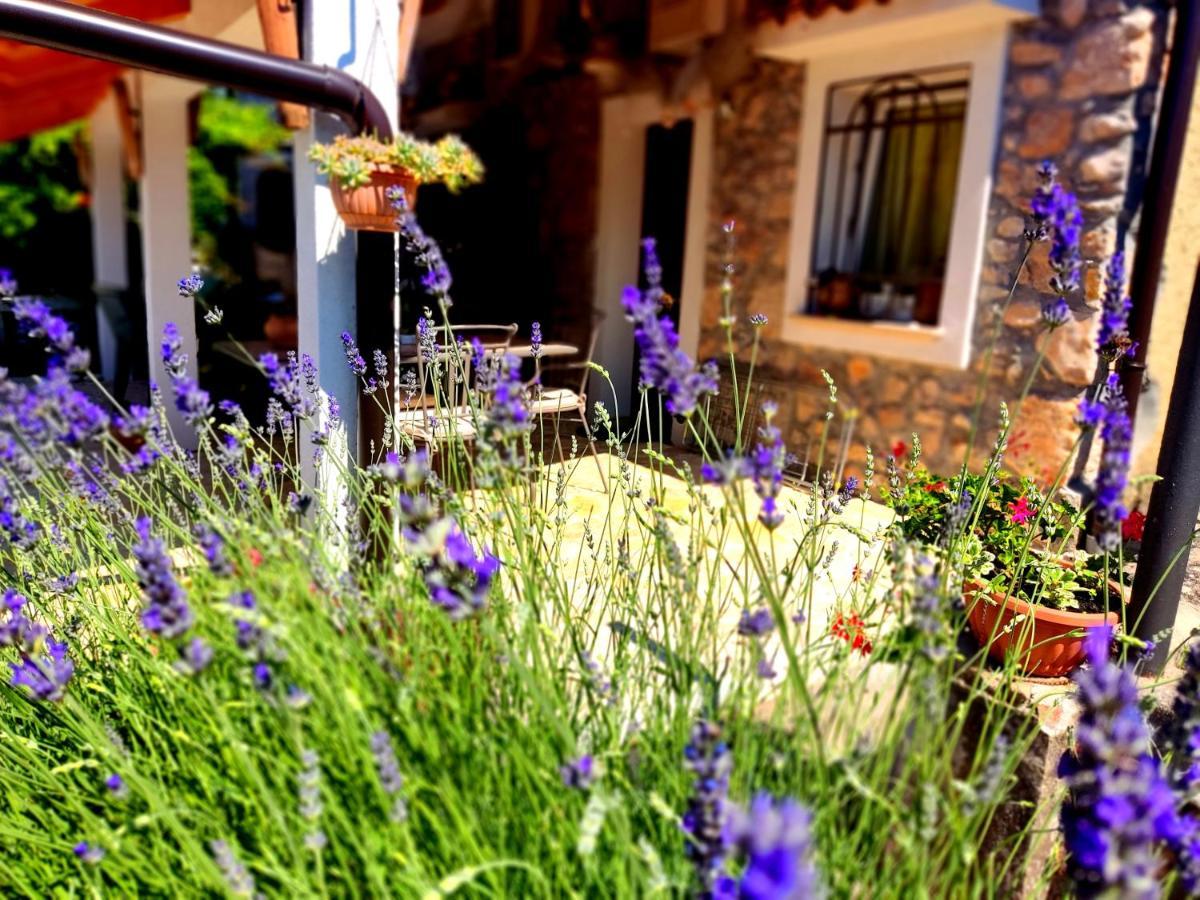 Apartman Pelcic,With Wifi And Free Parking Kostrena Exterior photo