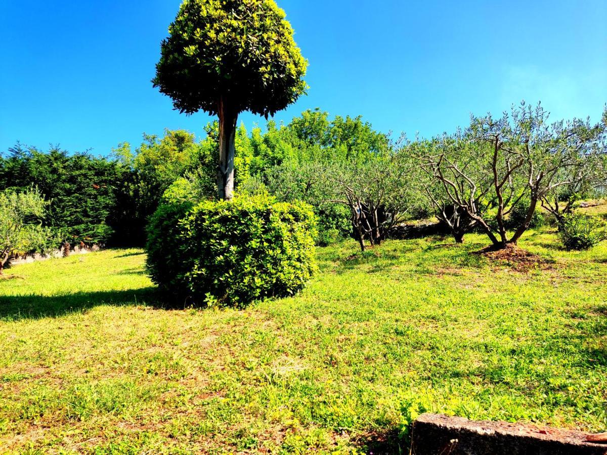 Apartman Pelcic,With Wifi And Free Parking Kostrena Exterior photo